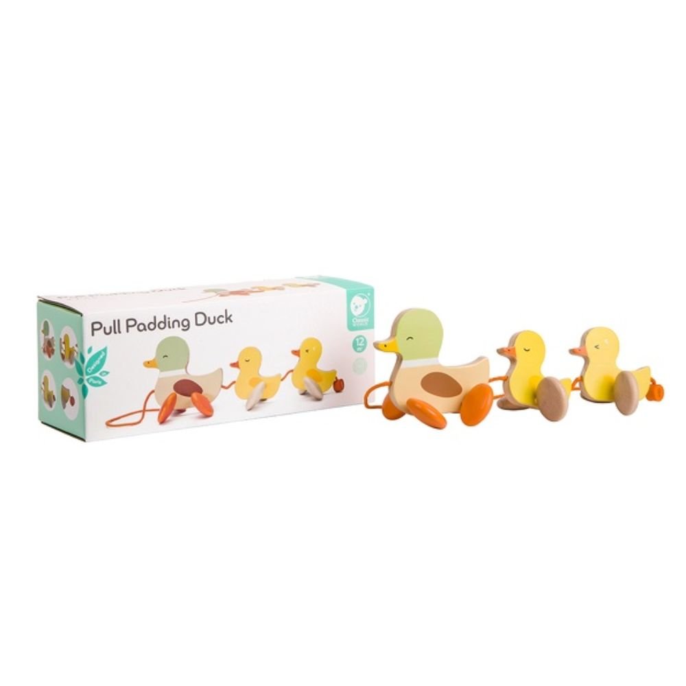 Pull Paddling Duck