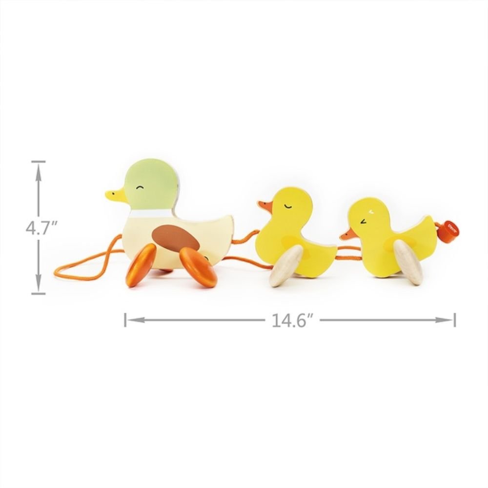 Pull Paddling Duck