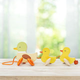Pull Paddling Duck