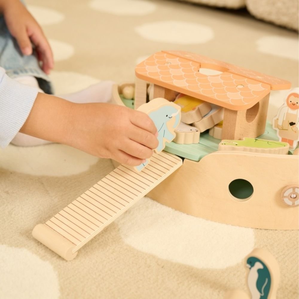 Making Noah's Ark