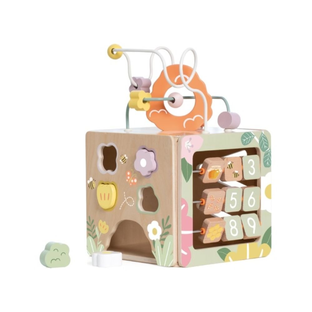 Honeybee Activity Cube