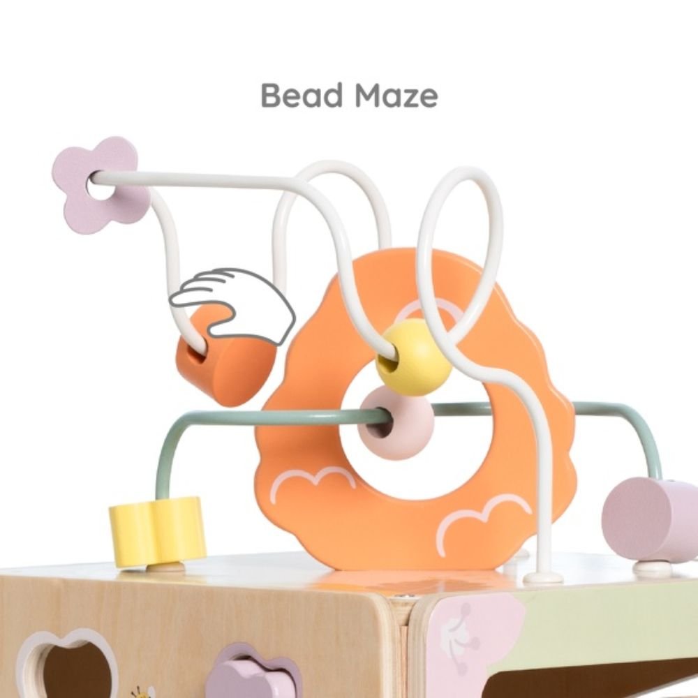 Honeybee Activity Cube
