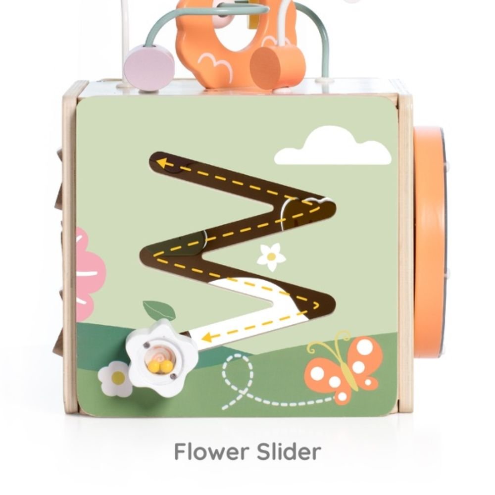 Honeybee Activity Cube